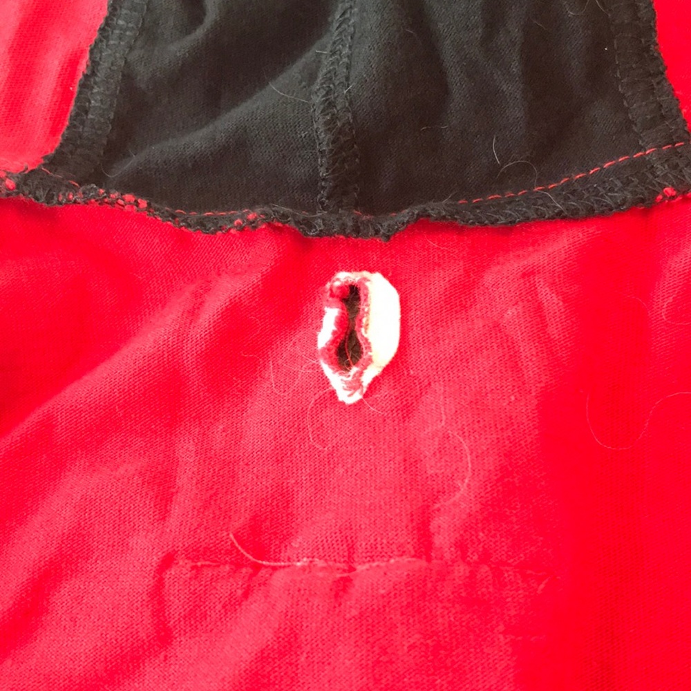 🌟Host Pick 8/23🌟Ladybug outfit for dog or puppy - Picture 8 of 10